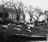 Otterpolder. Copyright Jacques van der Neut.