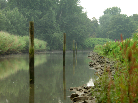 Wantijoevers Dordrecht. HenkvandeGraaf/www.stockburo.nl