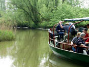 Rondvaart met fluisterboot. Coptright www.stockburo.nl