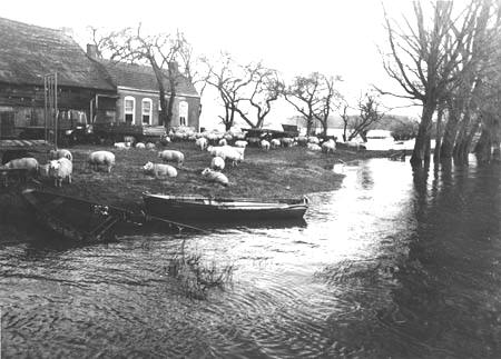 Otterpolder. Copyright Jacques van der Neut.