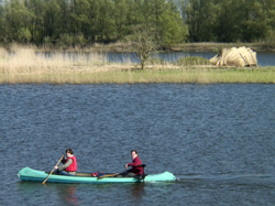 Biesbosch. Copyright HenkvandeGraaf/www.stockburo.nl