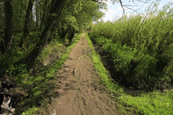 Wandelpad Oost en Zuidhaven. Copyright Jacques van der Neut.