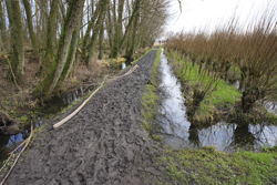 Wandelpad Oost en Zuidhaven. Copyright Jacques van der Neut.