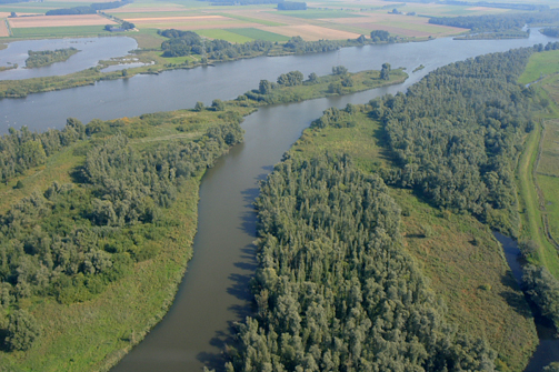 Biesbosch. Copyright Jacques van der Neut.