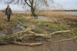 Wandelpad Oost en Zuidhaven. Copyright Jacques van der Neut.