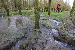 Wandelpad Oost en Zuidhaven. Copyright Jacques van der Neut.