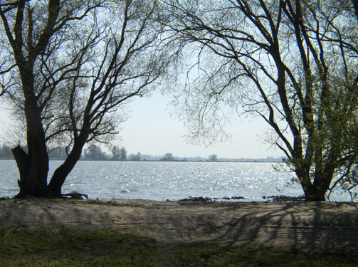 Stroomrug. Zuidplaatje. Copyright HenkvandeGraaf/www.stockburo.nl