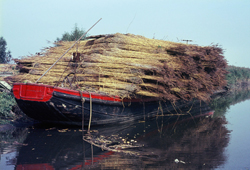 Rietsnijder Koek uit Werkendam. Copyright Jan van der Esch.