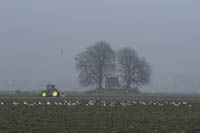 Voormalige griendkeet fier overeind in een landbouwpolder. Copyrights HansGebuis/www.stockburo.nl