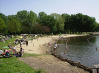 Ligweide Hollandse Biesbosch/Merwelanden. Copyright Bezoekerscentrum Dordrecht.