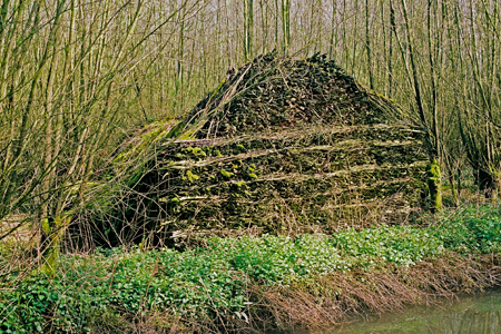 Stapel gehakt griendhout op Polder De Dood. Copyright Alfons van Bokhorst.