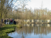 Eendenkooi Hofmansplaat. Copyright Henk van de Graaf.