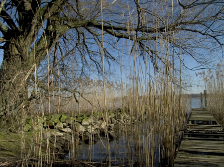 Natuurpad Nieuwe Merwede. Copyright Henk van de Graaf.