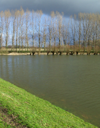 Polder De Hooge Hof onder water in 2004. Copyright HenkvandeGraaf/www.stockburo.nl