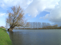 Polder De Hooge Hof onder water in 2004. Copyright HenkvandeGraaf/www.stockburo.nl