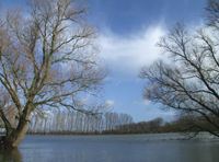 Polder De Hooge Hof onder water in 2004. Copyright HenkvandeGraaf/www.stockburo.nl