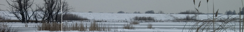 Beneden Spieringpolder. Copyright Henk van de Graaf.