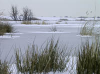 Beneden Spieringpolder. HenkvandeGraaf/www.stockburo.nl