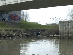 Ecologisch knelpunt onder de bruggen over het Wantij. Copyright Henk van de Graaf.