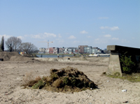 Stadswerven met op de achtergrond Papendrecht. Copyright Henk van de Graaf.