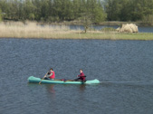 Kano in de Biesbosch. Copyright Henk van de Graaf.