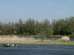 Gat van Hardenhoek. Biesbosch. Copyright Henk van de Graaf.