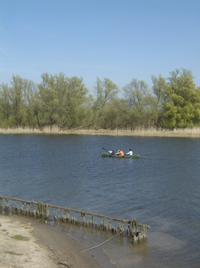 Kanoen in de Brabantse Biesbosch. Copyright Henk van de Graaf.