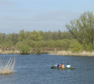 Biesbosch. Copyright Henk van de Graaf.