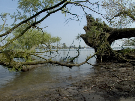 Oever Beneden Merwede. Copyright Henk van de Graaf.