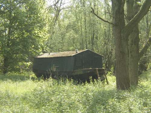 Ark in de Biesbosch. Copyright Henk van de Graaf.