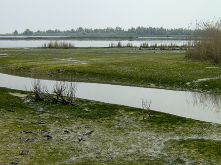 Sliblagen in Kort en Lang Ambacht. Copyright Henk van de Graaf.