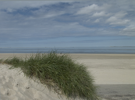 Texel. Copyright HenkvandeGraaf/www.stockburo.nl