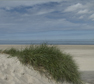 Texel duin. Copyright HenkvandeGraaf/www.stockburo.nl