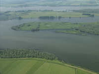 Biesbosch. Copyright Henk van de Graaf.