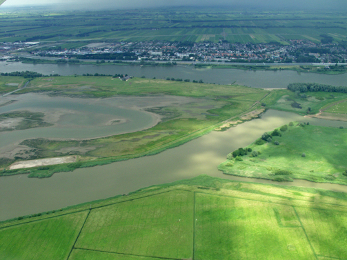 Ruigte bezuiden de perenboom en Gat van de Hengst. Copyright Henk van de Graaf.