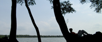 Zuidplaatje. Biesbosch. Copyright Henk van de Graaf.