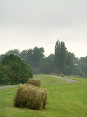 Wantijoever, Dordrecht. Copyright HenkvandeGraaf/www.stockburo.nl