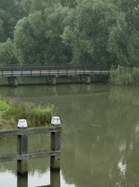 Kerkeplaat/wantij. Copyright HenkvandeGraaf/www.stockburo.nl