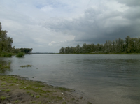 Natuurontwikkeling Polder Hardenhoek, nabij Biesbosch Museum. Copyright Henk van de Graaf