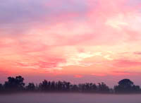 Zonsopkomst Noordbovenpolder, Dordrecht. Copyright HenkvandeGraaf/www.stockburo.nl