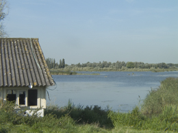 Ruigte bezuiden de Pereboom met op de voorgrond het gemaal. Copyright HenkvandeGraaf/www.stockburo.nl