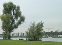 Parkachtige omgeving aan de oevers van de Beneden Merwede. Copyright Henk van de Graaf.