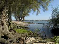 Zuidplaatje. Copyright Henk van de Graaf.