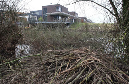 Beverburcht in Wantijpark. Copyright Jacques van der Neut.