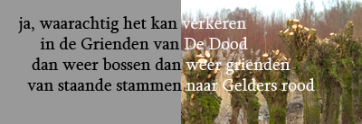 Onderdeel gedicht 'Van Dordt naar De Dood. Copyright Henk van de Graaf.