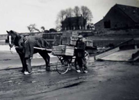 Eierboer Wiebinga komt van het pontje Boomgat. Copyright Lies Polak.