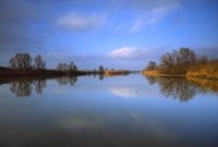 Windstilte in de Helsloot. Sliedrechtse Biesbosch. Copyright: JohnvandenHeuvel/www.stockburo.nl