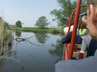 Biesbosch. Fluisterboot. Copyright Henk van de Graaf.