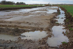 Realisatie Noordwaard, Biesbosch. Copyright Jacques van der Neut.