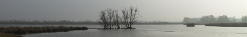 Overzicht Beneden Spieringpolder. Copyright HenkvandeGraaf/www.stockburo.nl